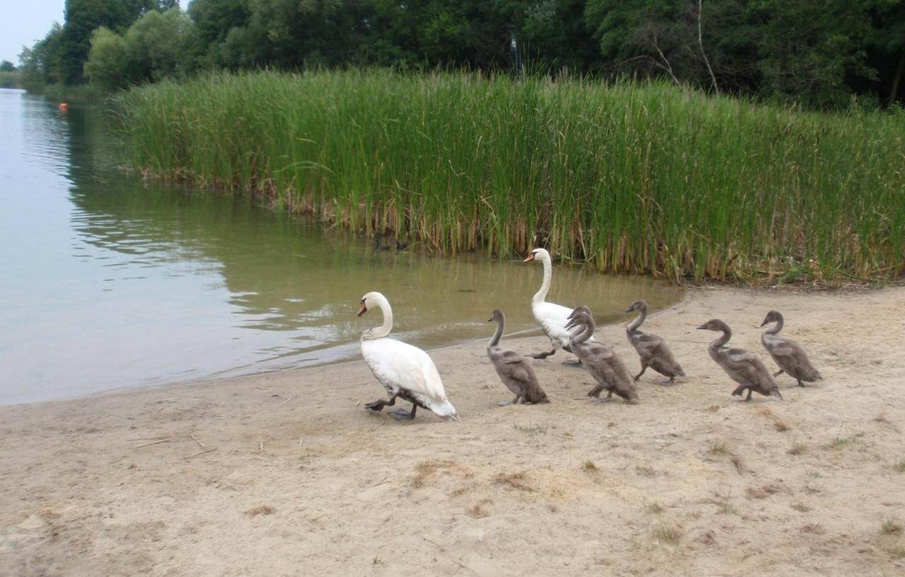 Domki Jak Prlu W Camp Lipno Stęszew Exteriér fotografie